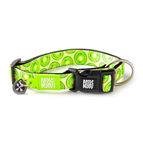 Smart ID Dog Collar (Kiwi) - Small