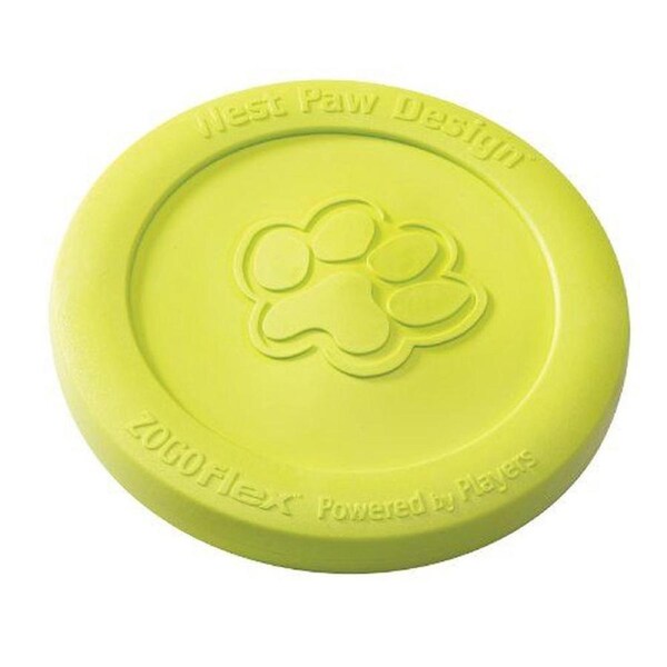 Zisc Flying Disc Fetch Dog Toy - Small - Green