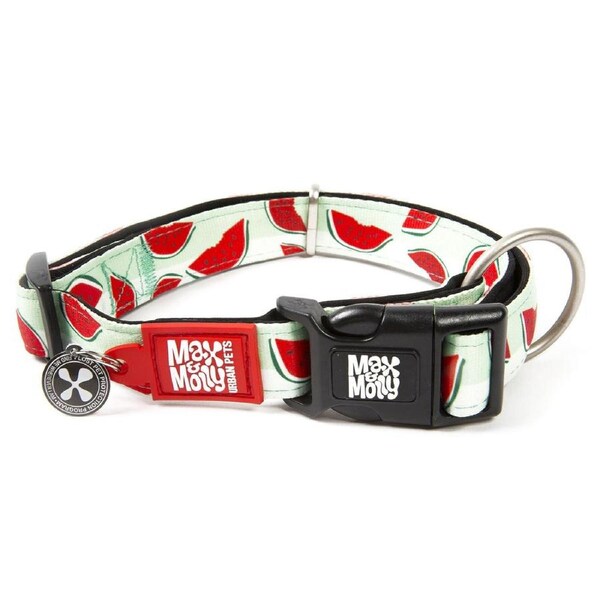 Smart ID Dog Collar (Watermelon) - Large