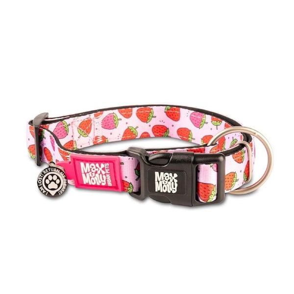 Smart Id Dog Collar (Strawberries) - Large