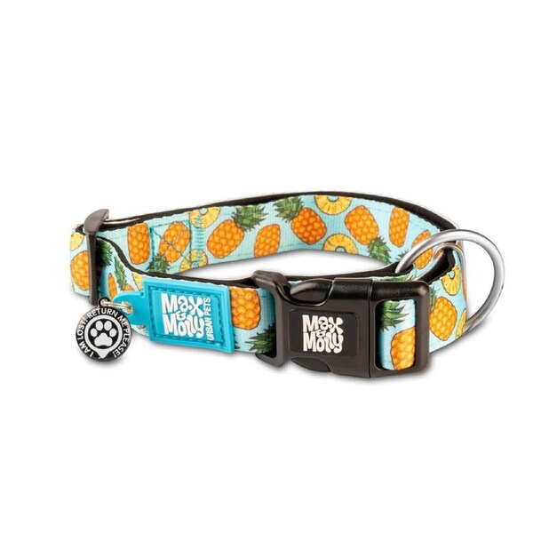 Smart Id Dog Collar (Sweet Pineapple) - Large