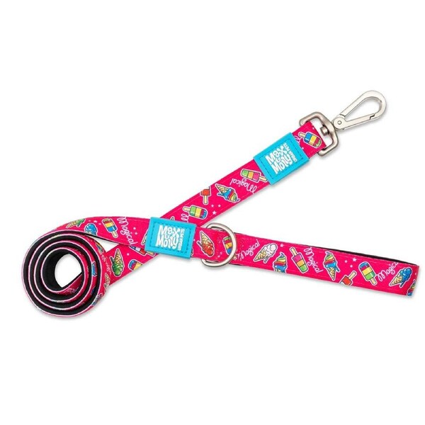 Dog Leash (Magical) - Large