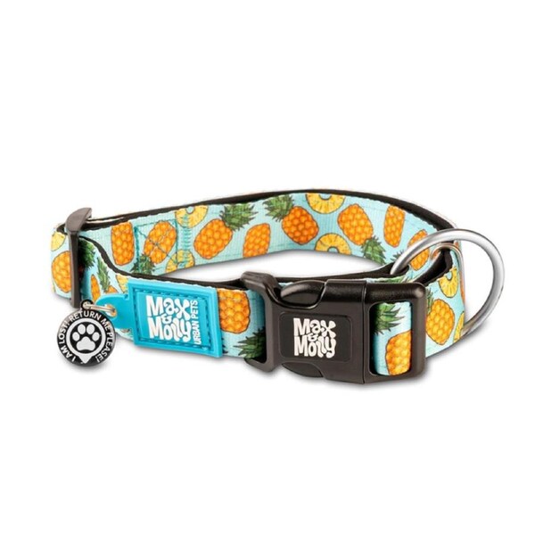 Smart Id Dog Collar (Sweet Pineapple) - Small