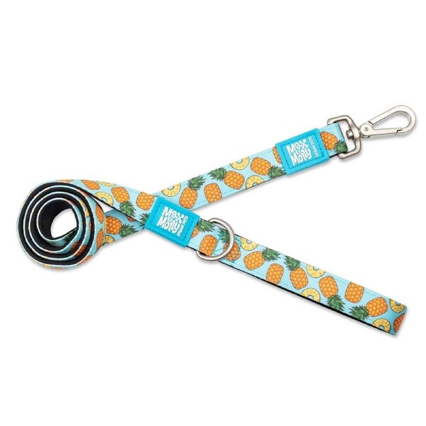 Dog Leash (Sweet Pineapple) - Large