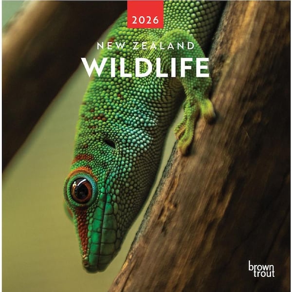 2026 Calendar New Zealand Wildlife Square Wall, BrownTrout A06118