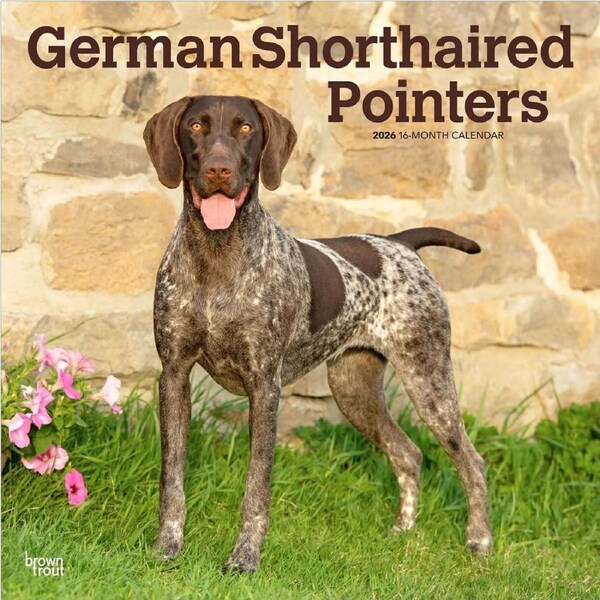 2026 Calendar German Shorthaired Pointers 16-Month Square Wall, BrownTrout BT03401