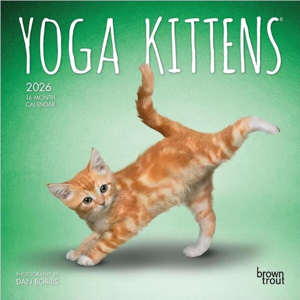 2026 Calendar Yoga Kittens 16-Month Mini Wall, BrownTrout BT01940