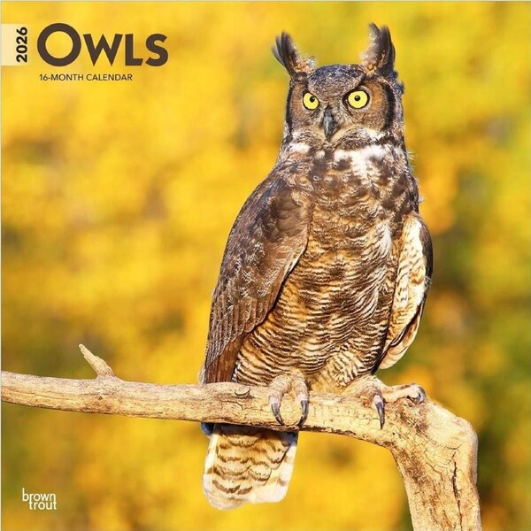 2026 Calendar Owls 16-Month Square Wall, BrownTrout BT05054