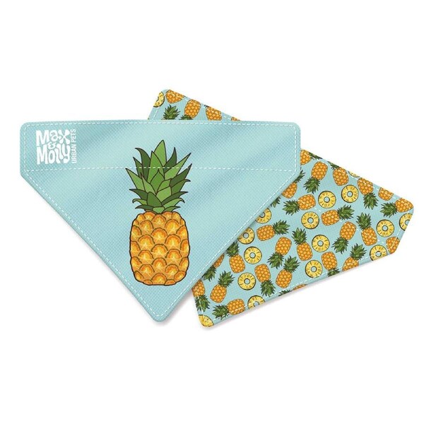 Bandana for Cats & dog's (Sweet Pineapple) - Large