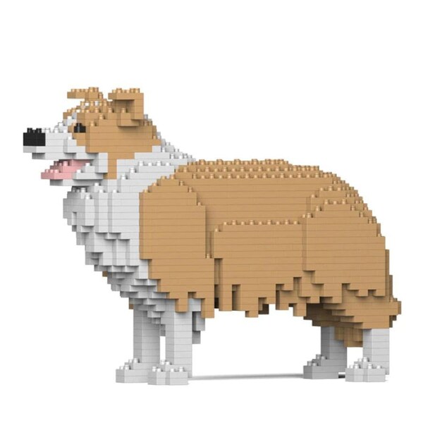 Jekca - Border Collie - Small 01s-m03