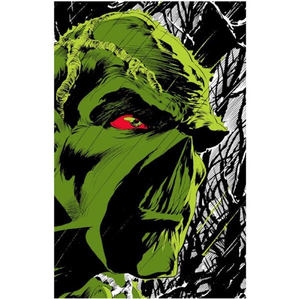 Absolute Swamp Thing by Len Wein and Bernie Wrightson HC
