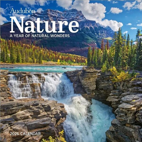 2026 Calendar Audubon Nature Square Wall, Workman