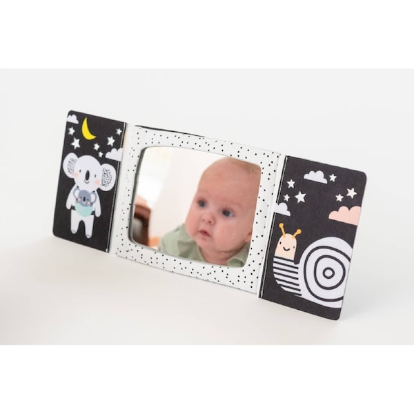 Taf Toys Tummy-time Mirror Book