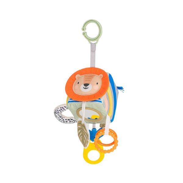 Taf Toys Savannah Discovery Cube