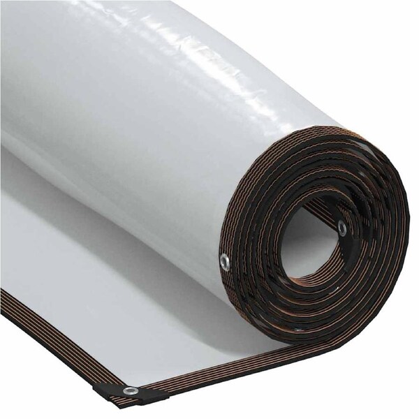 Clear Tarpaulin with Eyelets 4x6 m Polyethylene vidaXL