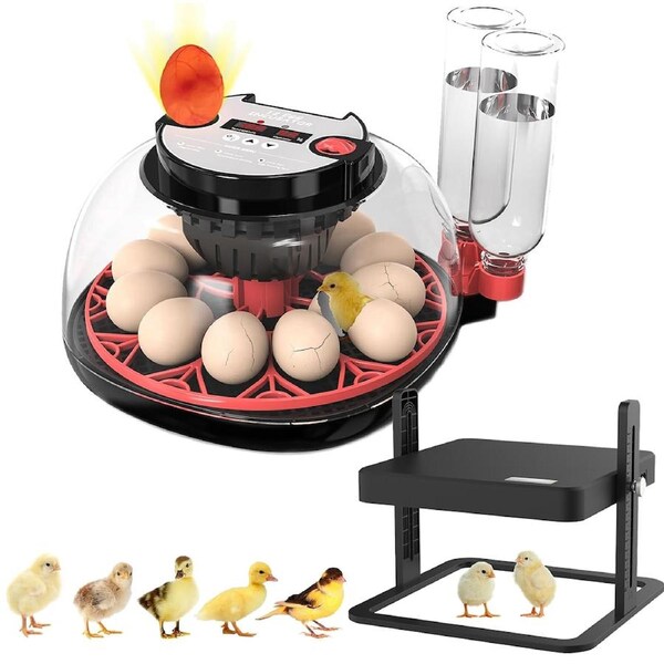 Advwin 12 Eggs Incubator + Chicken Brooder Heating Plate