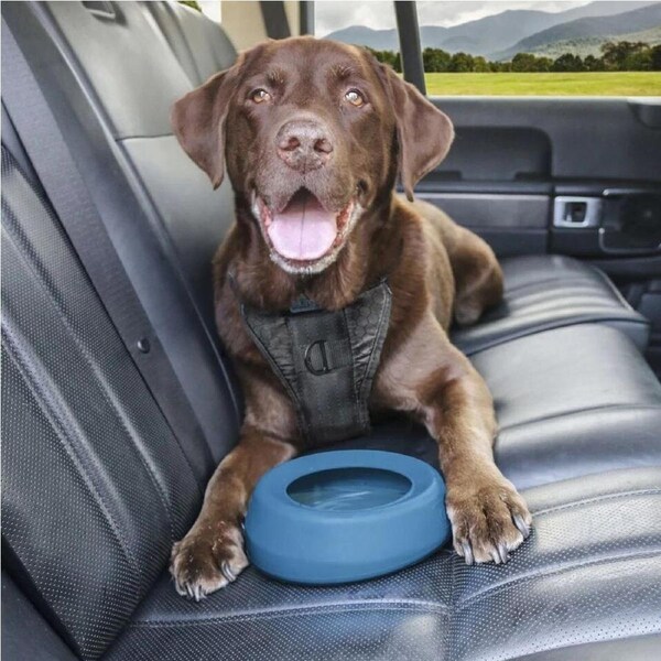 Splash Free Wander Water Bowl for Dogs 710ml by Kurgo