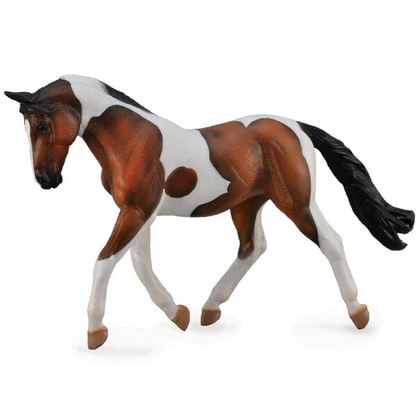 Collecta Pinto Mare Bay
