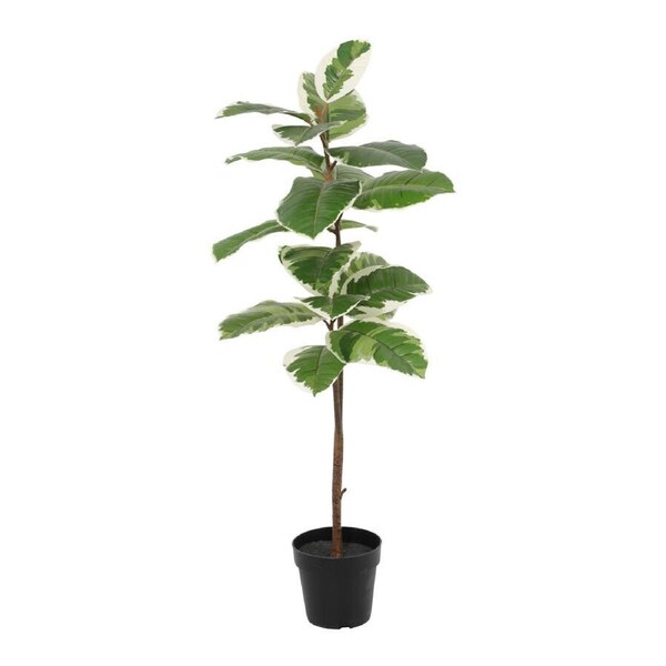 Willow & Silk 118cm Potted Artificial Variegated Rubber Leaf Tree