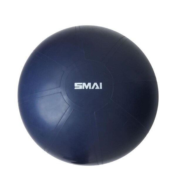Commercial 65cm Gym Ball
