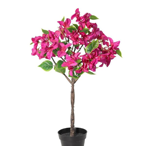 Willow & Silk 66cm Potted Artificial Pink Blossom Bougainvillea