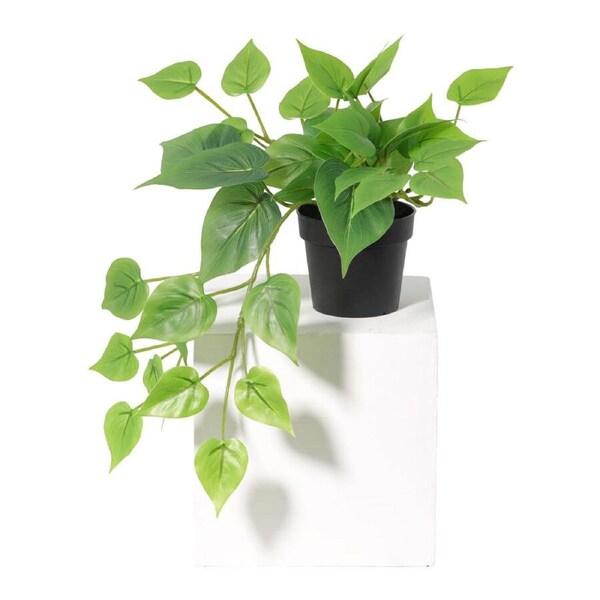 Willow & Silk 35cm Potted Artificial Tranquil Hanging Pothos