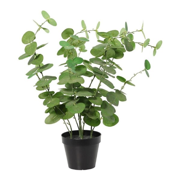 Willow & Silk 48cm Potted Artificial Leafy Serenity Eucalyptus