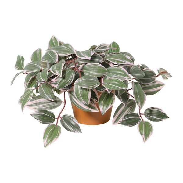 Willow & Silk 25cm Potted Artificial Wandering Dude Plant