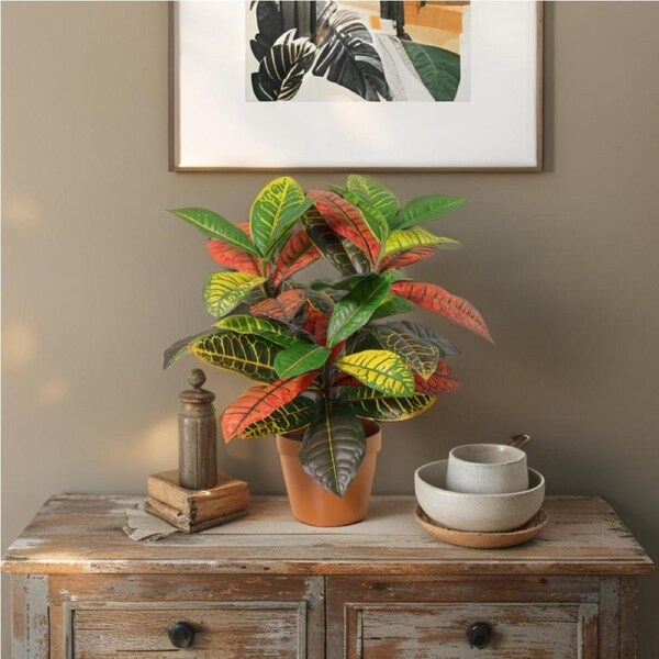 Willow & Silk 38cm Potted Artificial Vibrant Leaf Calathea