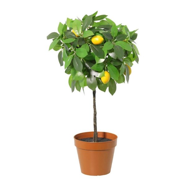 Willow & Silk 43cm Potted Artificial Lemon Tree/Citrus Charm Pottery
