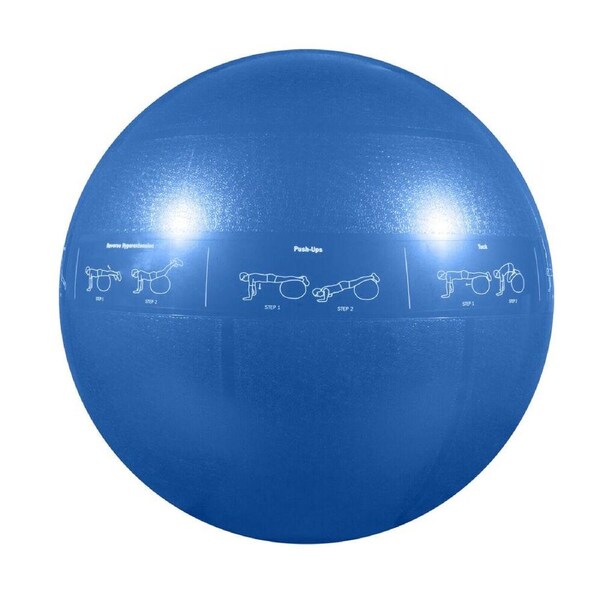 GoFit Pro Yoga Fitness Workout Exercise Balance Guide Ball 55cm Blue