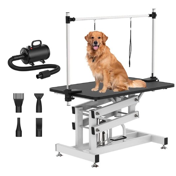 Advwin Hydraulic Pet Grooming Table + Pet Hair Dryer