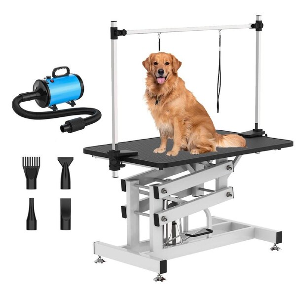 Advwin Hydraulic Pet Grooming Table + Pet Hair Dryer