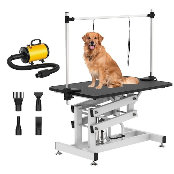 Advwin Hydraulic Pet Grooming Table + Pet Hair Dryer