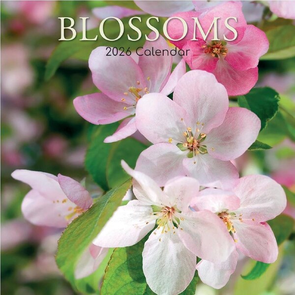 2026 Calendar Blossoms Square Wall, The Gifted Stationery GSC26181