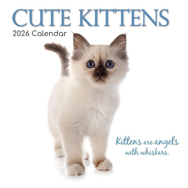2026 Calendar Cute Kittens Square Wall, The Gifted Stationery GSC26067