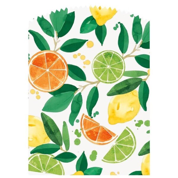 Citrus Fruit Paper Treat Bags with Stickers 6pk