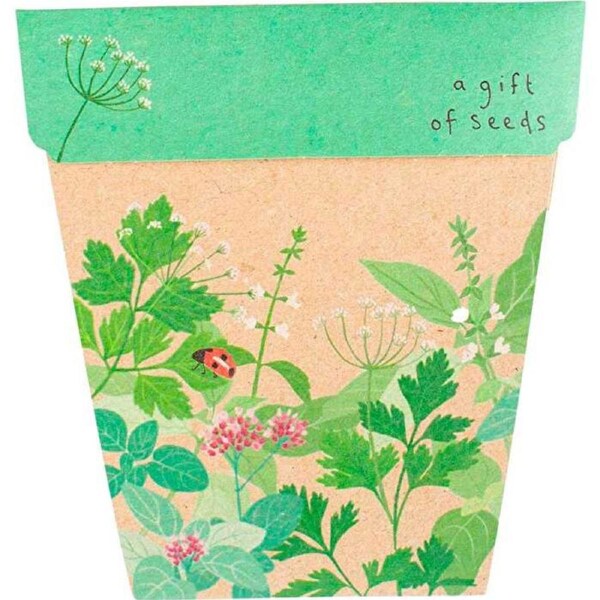 Sow 'n Sow Gift of Seeds Herbs