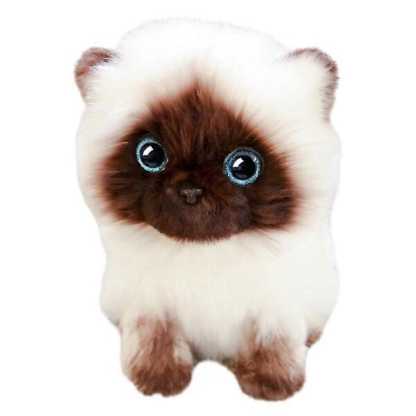 Hug baby cute doll cat doll cute simulation Siamese cat plush toy ornament
