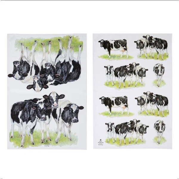 Ashdene Tea Towels Meet the Girls Cows Cotton Dish Cloths Set 2