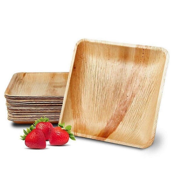25 Palm Leaf Plates, 8inch(20cm) , Eco Friendly Biodegradable Compostable Plates