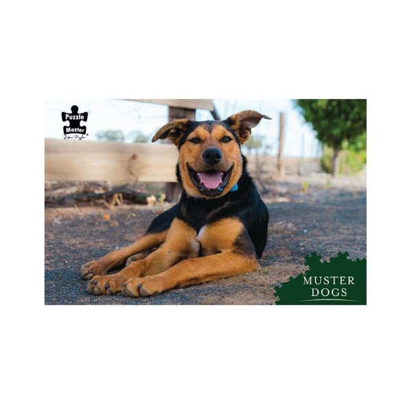 1000pc Puzzlemaster Jigsaw Puzzle Muster Dogs Banjo Australian Kelpie 12y+