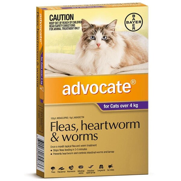 Advocate Cat 4kg Plus Large 3pk