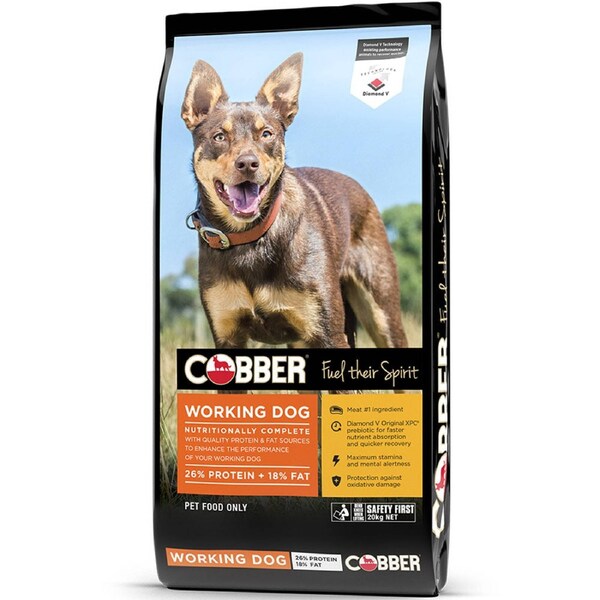 Cobber Workdog 20kg