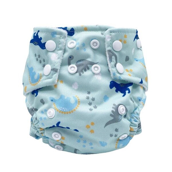Big Softies Reusable Nappy with Absorber, Dino