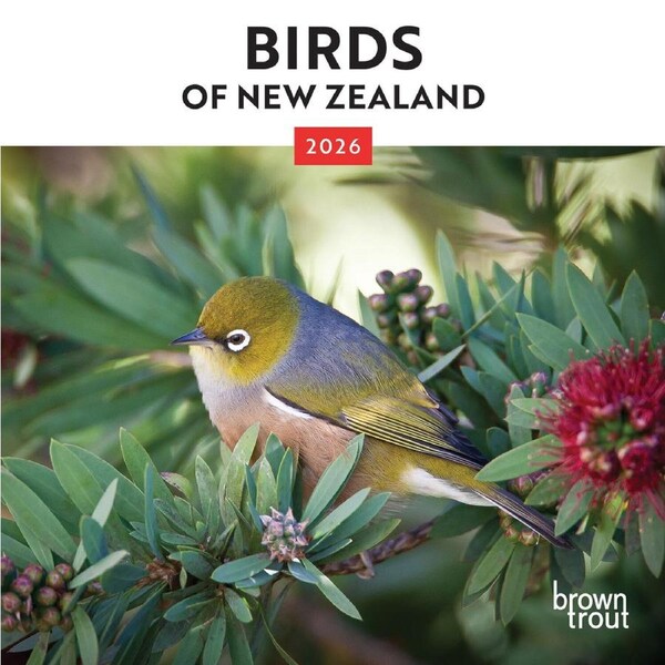 2026 Calendar Birds of New Zealand Mini Wall, BrownTrout A05739