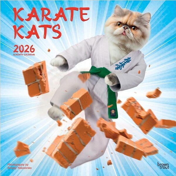 2026 Calendar Karate Kats 16-Month Square Wall, BrownTrout BT01889