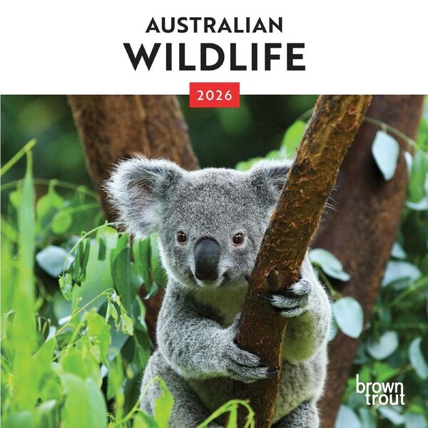 2026 Calendar Australian Wildlife Mini Wall, BrownTrout A05685