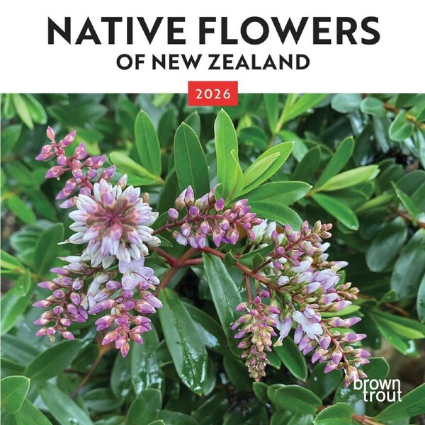 2026 Calendar Native Flowers of New Zealand Mini Wall, BrownTrout A05746
