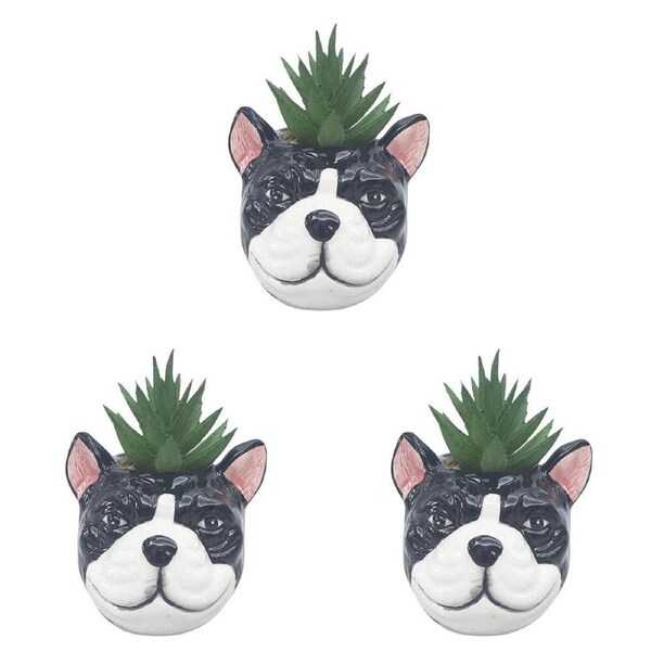 3PK Urban Ceramic Mini Bulldog Decorative Planter Pot with Plant 10cm Black